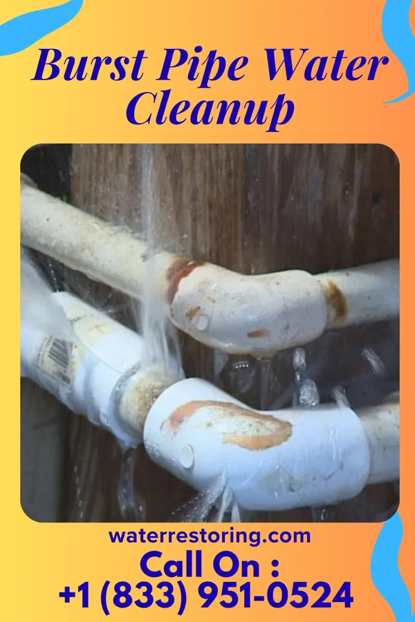 Burst Pipe Water Cleanup in McLean, IL