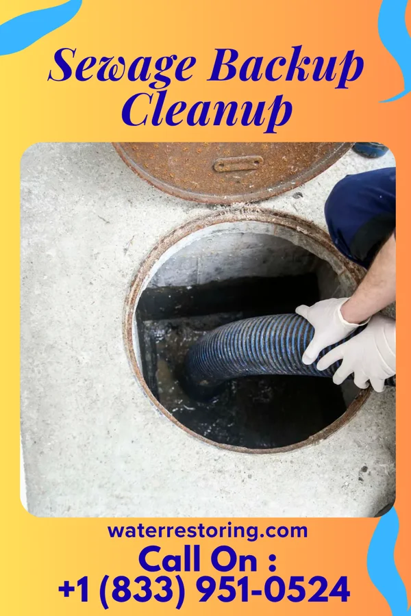 Sewage Backup Cleanup in McLean, IL