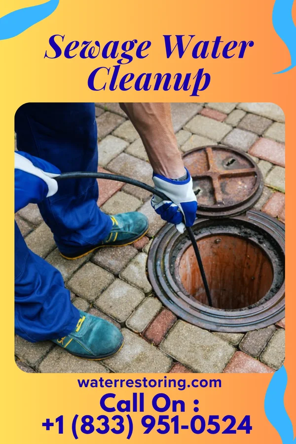 Sewage Water Cleanup in McLean, IL
